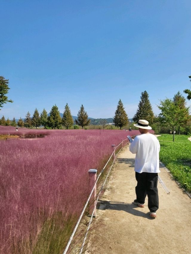 합천의 가을이 가장 아름다운 이유