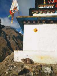 Visit the world's highest Tantric Buddhist monastery