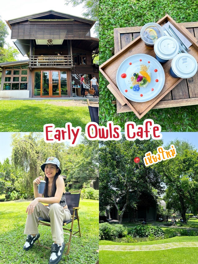 Early Owls • เออร์ลี่ อาวส์ เชียงใหม่