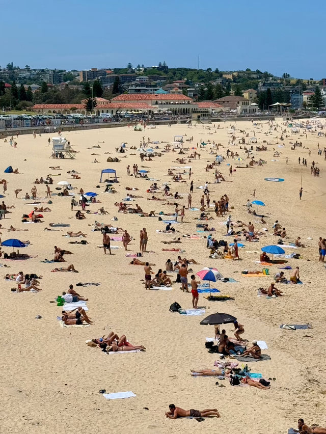 A fantastic day at beach 🏝️ 