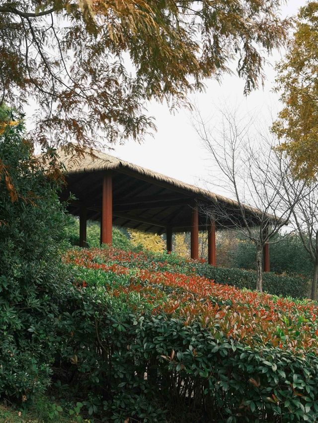 長沙超有氛圍感的小眾寶藏公園嘎嘎出片