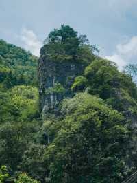 重慶｜沉浸山水間，夏日避暑溪降好清涼