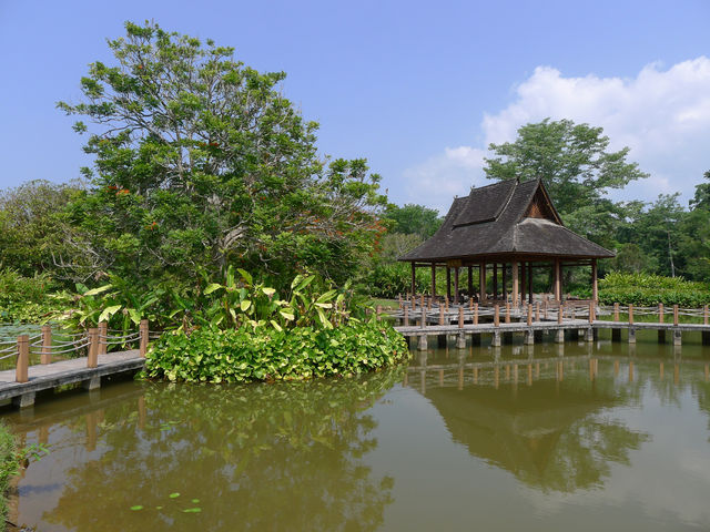 景洪·熱帶植物園西區——園藝的巔峰之作。