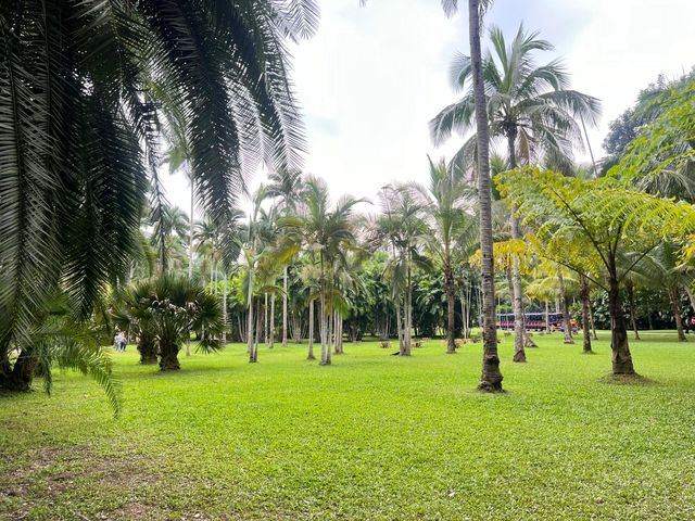 西雙版納中科院植物園——熱帶雨林。