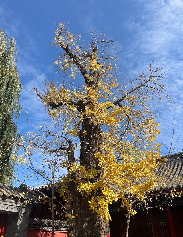 北京 City Walk 第八站：比故宮難約的承恩寺。