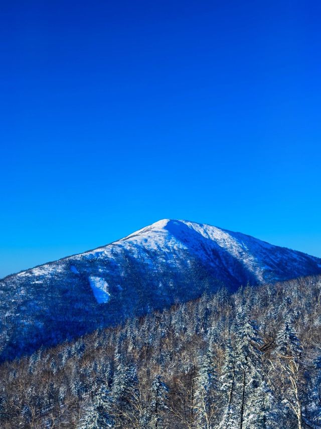 黑龍江哈爾濱|亞雪公路•銀裝素裹冰天雪地。