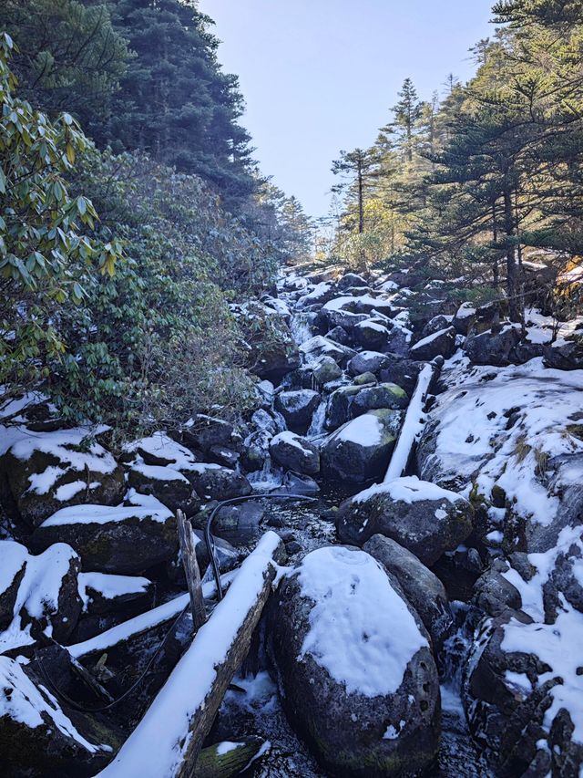 西昌螺髻山，秋日野趣，你以為的冬天，才是它的秋天