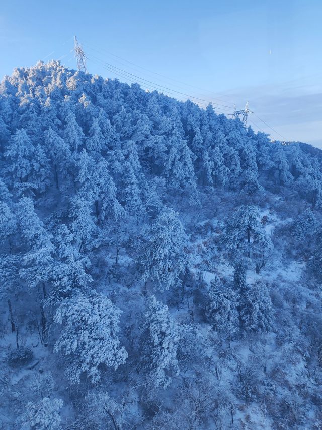 熬夜總結廬山-婺源-景德鎮3日攻略不看後悔