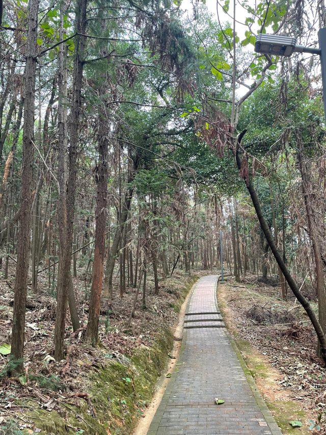 湖南湘潭金霞山森林公園‖天湖美景