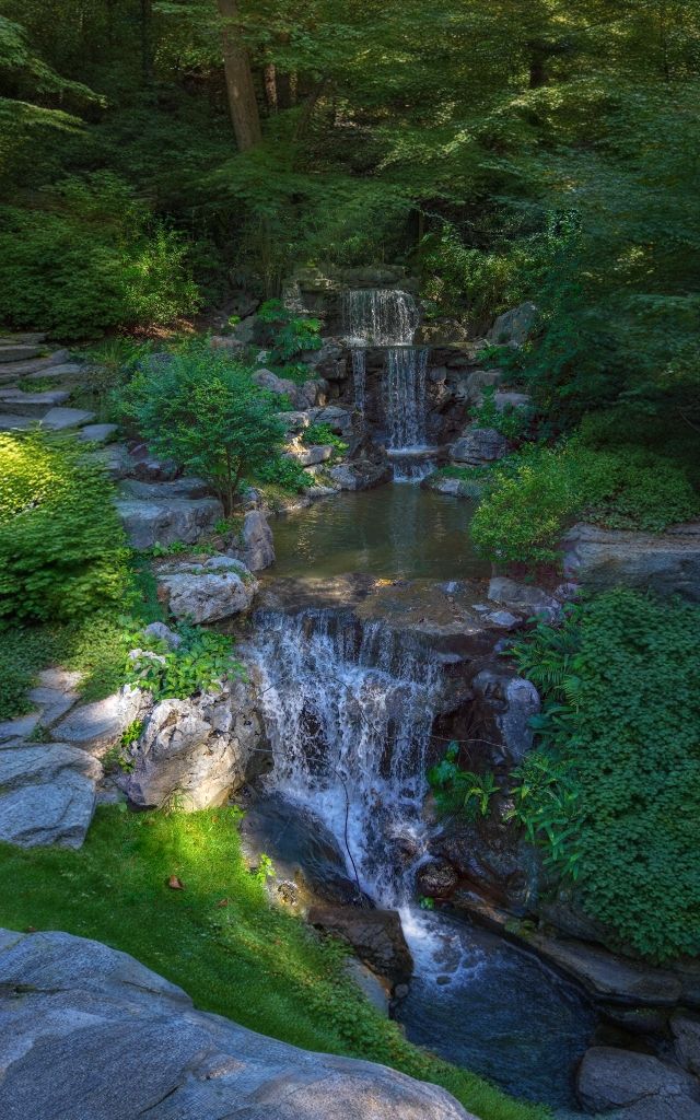 雲蘿植物園，廣州拍照打卡的頂流！