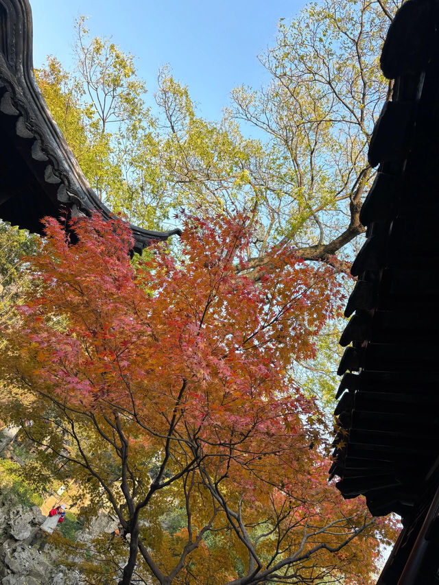 古韻悠悠的蘇州怡園