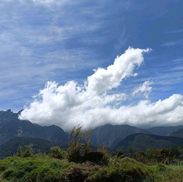  Mini New Zealand in Sabah