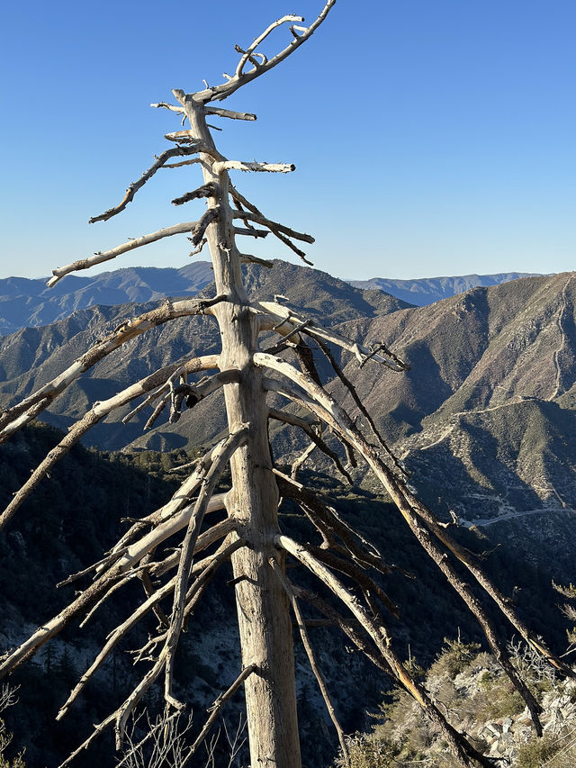 Easy day hike for Cali lovers