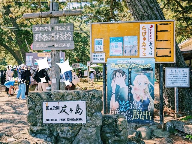 【和歌山×友ヶ島】神秘的な無人島で冒険気分を満喫