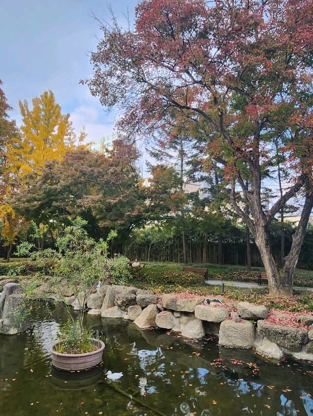 가을가을한 낭만적인 공원 경상감영공원🌿🧡