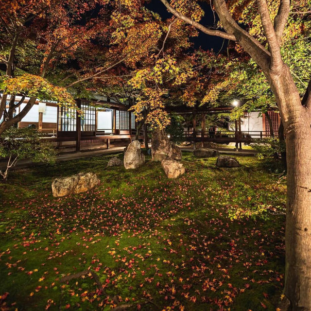 大本山·建仁寺：京都禪意的深處