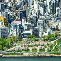 登高望遠：東京晴空塔的震撼視野