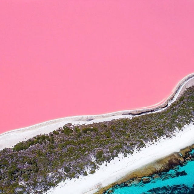 A Pink Paradise: Have You Seen the Stunning Lake Hillier in Perth??