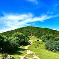 Grass Island Hong Kong