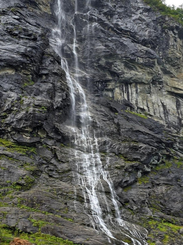 Cruise in Norway Georanger Fjord 🗺️