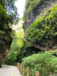 湖北秭歸三峽竹海