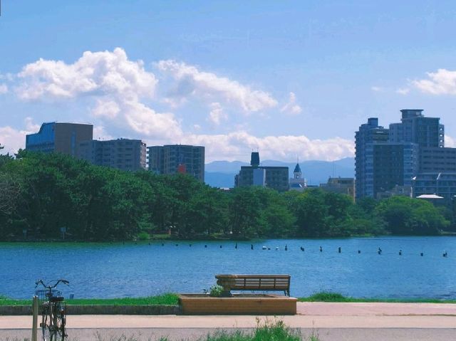 大濠公園，湖泊寬闊，綠樹成蔭，適合漫步欣賞