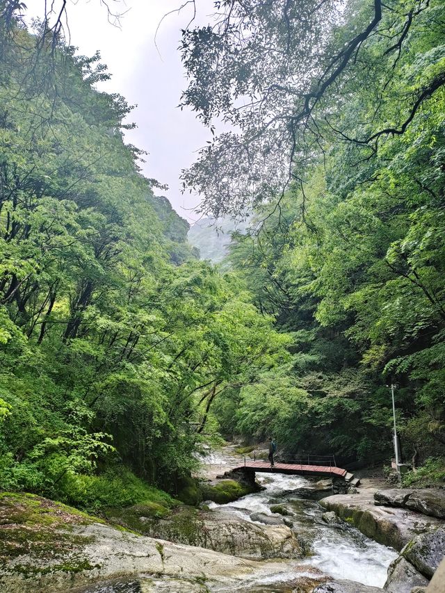 陝西少華山|自然美景如畫。