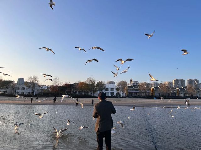 海邊日記︱秦皇島11月旅遊兩天一晚攻略。