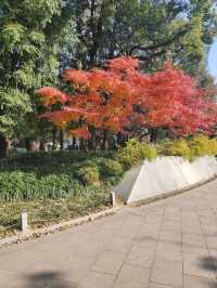 【城市漫遊】探索天山公園的無盡魅力