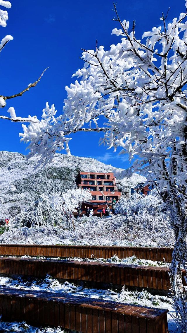 冬天不一定要去哈爾濱 重慶也有自己的雪山