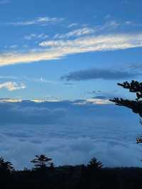 帶孩子遊成都-峨眉山-樂山 探秘熊貓基地的樂趣