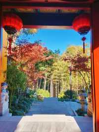 被靈隱寺埋沒的最美寺廟——永福寺