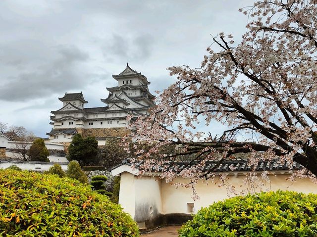 Himeji Castle and its Gardens 🏯