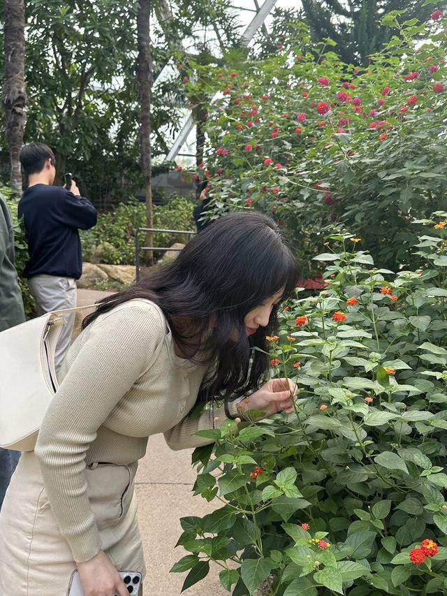 서울 마곡 실내데이트 추천🌿 [서울식물원]