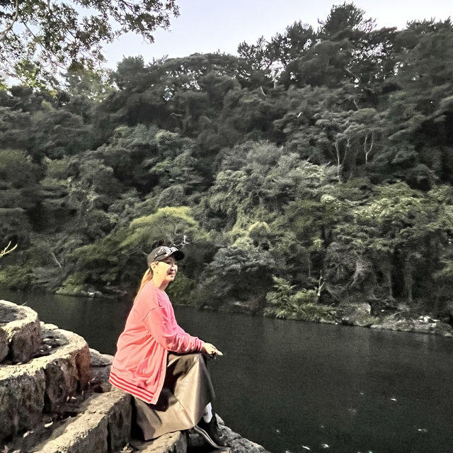 Top 3 waterfall in Jeju island 🇰🇷 Jeongbang Waterfall