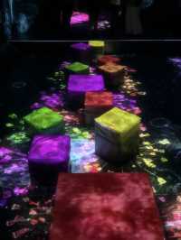 Explore teamLab Forest Fukuoka 