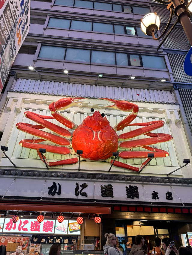 Dotonbori: Osaka's Lively Street of Food and Fun