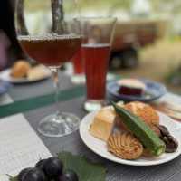 Grape picking with afternoon tea