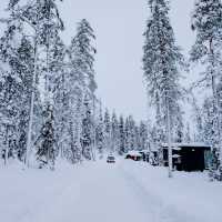 Arctic Skylight Lodge：芬蘭拉普蘭的極光天堂