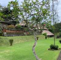 Taman Ayun Temple