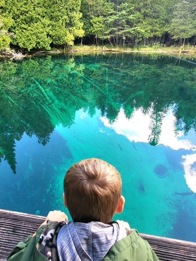 Riding a self-driven raft across Kitch-iti-kipi Spring is a magical experience