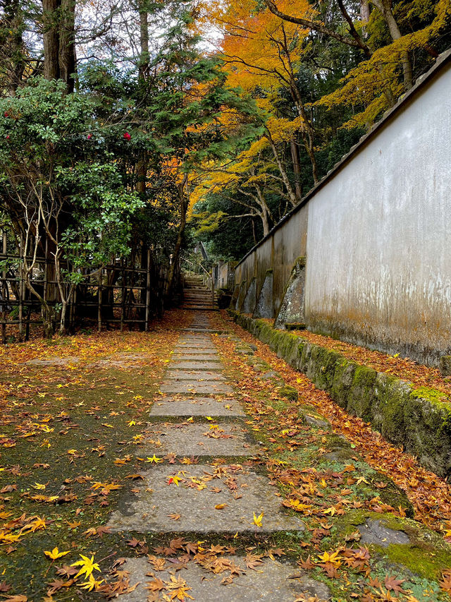 Autumn colors in Kyoto 🍁