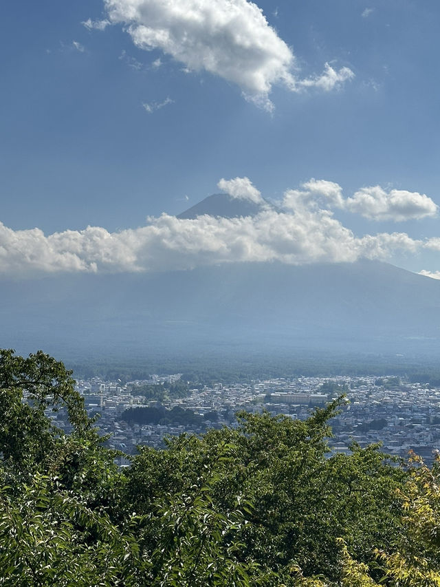 【東京近郊景點：新倉山淺間公園！可以看見富士山的絕美觀景台！】