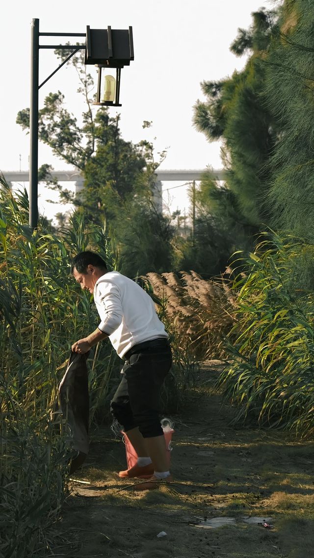 石獅濕地公園｜小眾拍照我的秘密基地