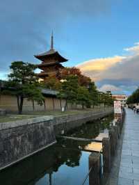 Explore the Stunning Autumn Foliage at Toji Temple in Kyoto!