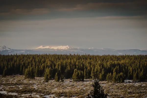 Winter in Yellowstone is also beautiful