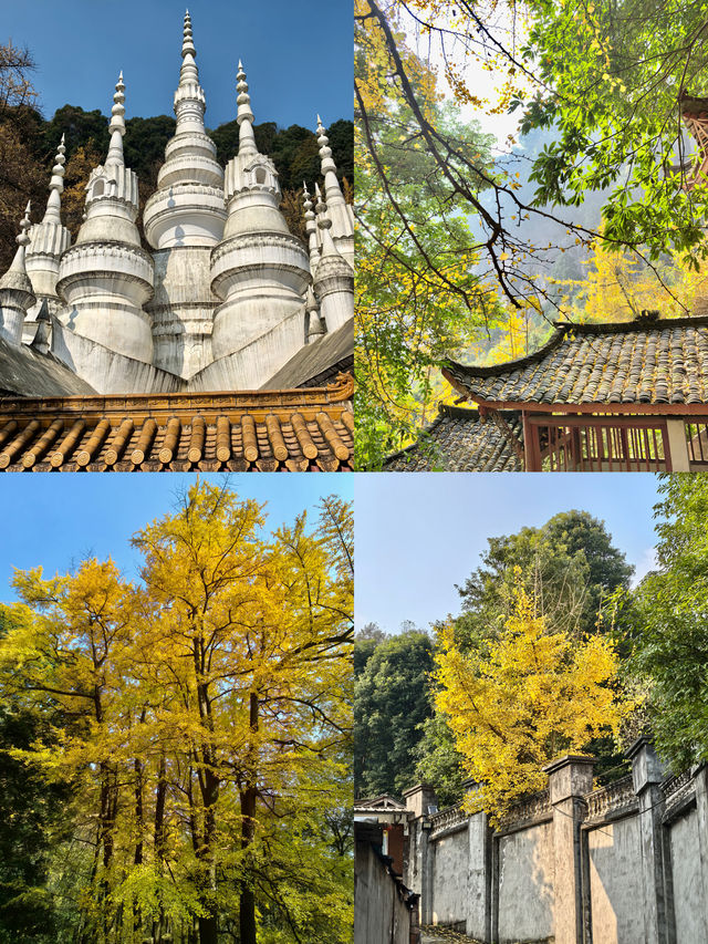 成都周邊｜徒步賞千年古寺 品千年銀杏雨