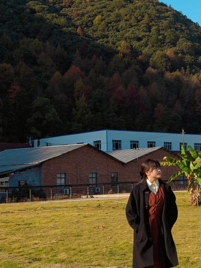 景德鎮三寶村寶藏民宿|住進油畫中，不想醒來