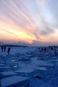 在冰雪世界嬉戲的金豆子們