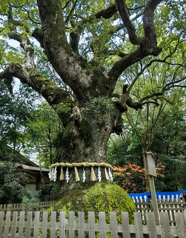 獨一無二的熱田神宮｜名古屋的千年神社，你所不知道的日本傳奇